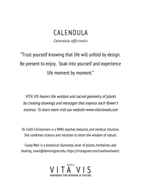 Calendula Greeting Card - Image 2