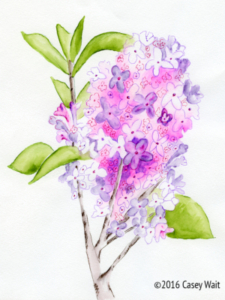 Lilac Plant Essence