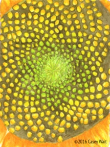Sunflower Plant Essence