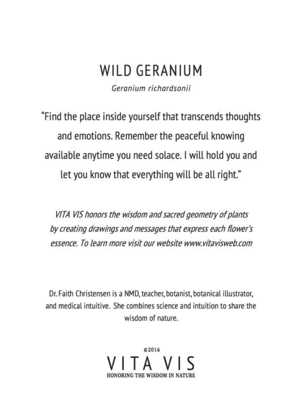 Wild Geranium Greeting Card - Image 3