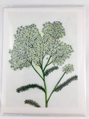 Yarrow Card Front Sleeve