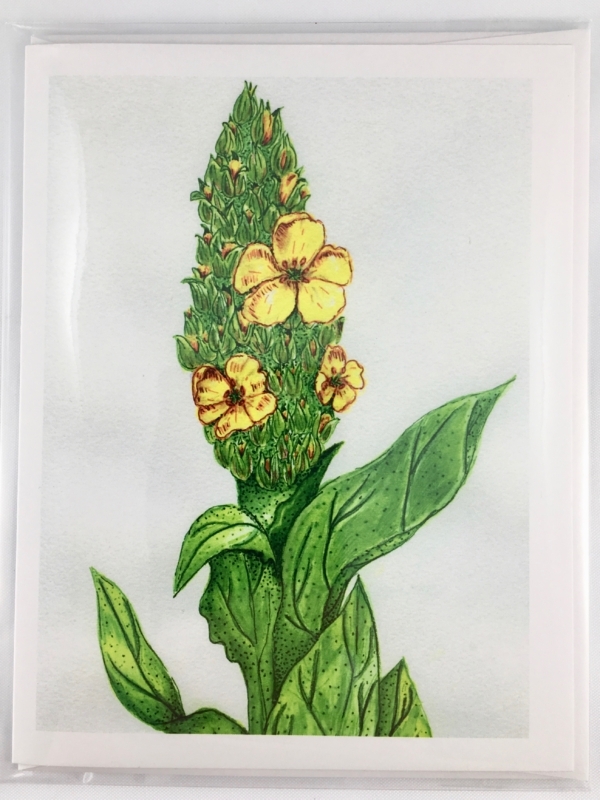 Mullein Greeting Card - Image 2