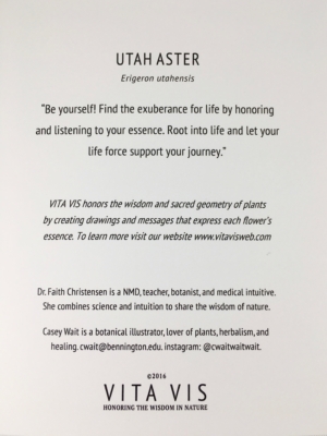 Utah Aster Card Back