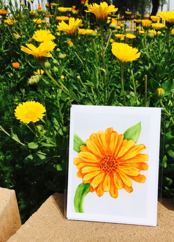 Calendula Gift Box - Image 7