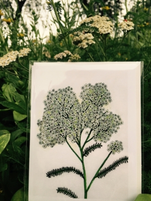 Yarrow