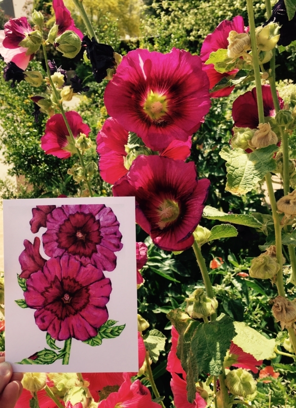 Hollyhock Greeting Card - Image 3