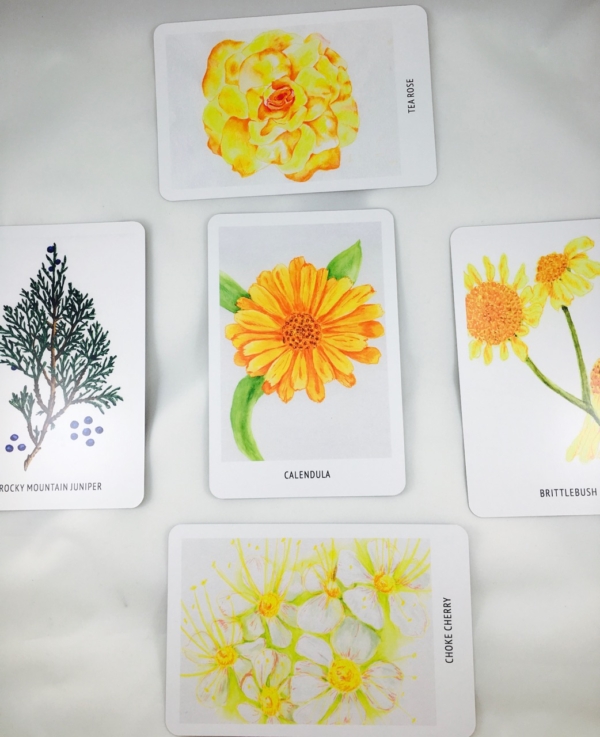 Honoring The Wisdom In Nature Pocketbook Edition And 54 Plant Essence Card Set - Image 12