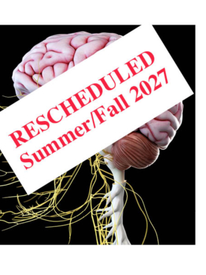 CST Brain Balancing II Workshop-Seattle, WA: Sept 18-20, 2026