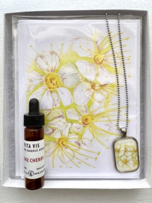 Choke Cherry Gift Box