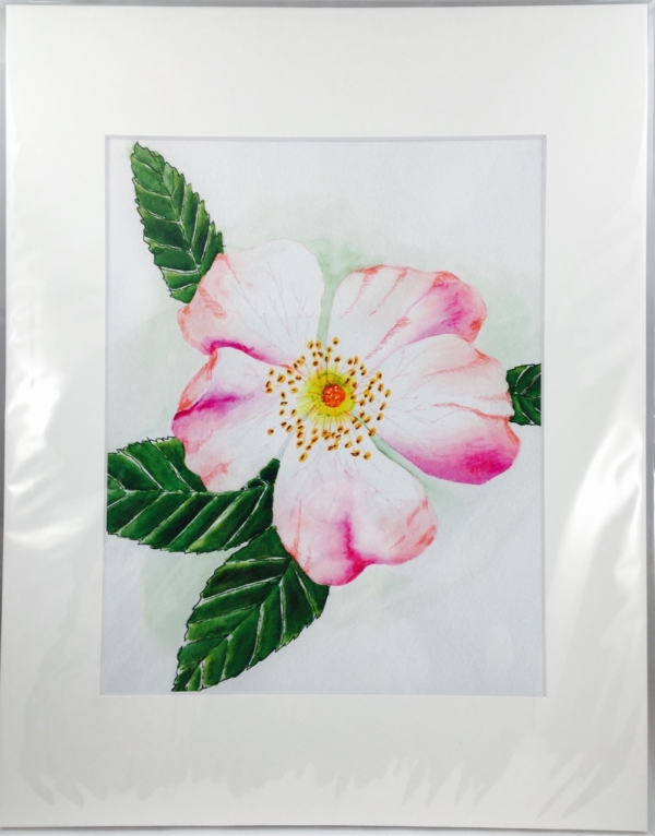 Wild Rose 8x10 Print