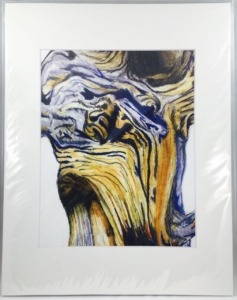 Bristlecone Pine 8×10 Print