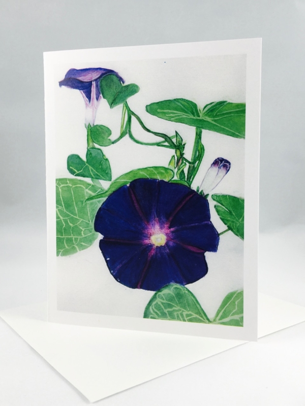 Morning Glory Gift Box - Image 3