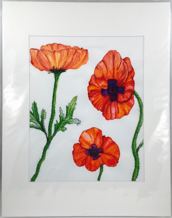 Opium Poppy 8x10 Print