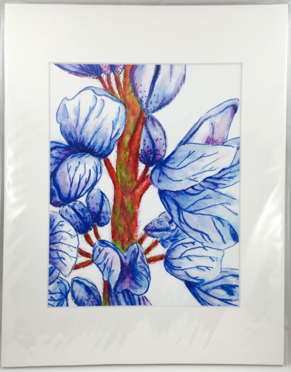 Silver-Stem Lupine 8x10 Print