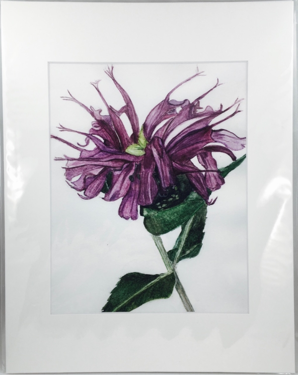 Sweet Leaf 8x10 Print