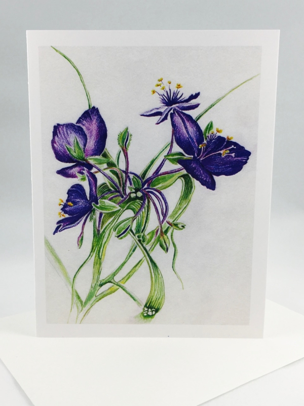 Western Spiderwort Gift Box - Image 5