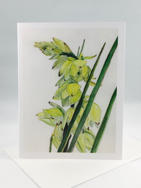 Yucca Greeting Card - Image 3