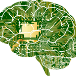 Brain Balancing for High Performers