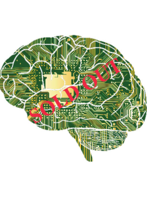 CST Brain Balancing I Workshop-Seattle, WA:  January 30-Feb 1, 2026