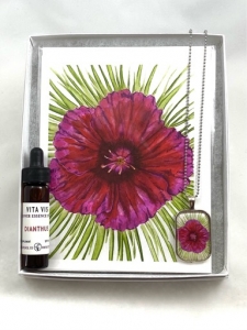 Dianthus Gift Box