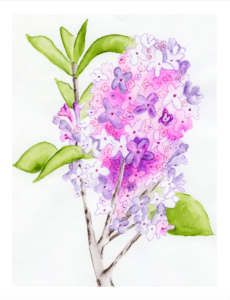 Lilac Greeting Card