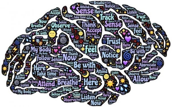 Brain Balancing III – Vita Vis