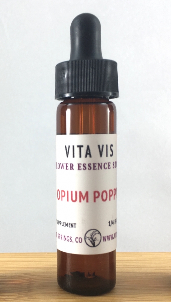 Opium Poppy Plant Essence - Image 2