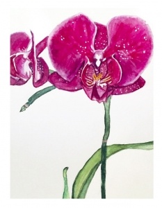 Purple Orchid Greeting Card