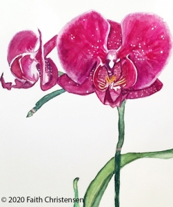 Purple Orchid Plant Essence
