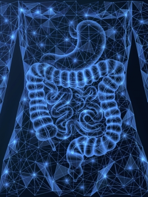 Tensegrity Workshop Seattle, WA:  August 15-16, 2026