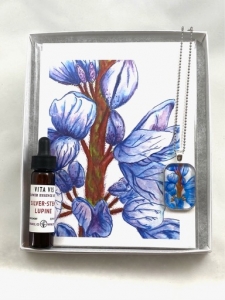 Silver-Stem Lupine Gift Box