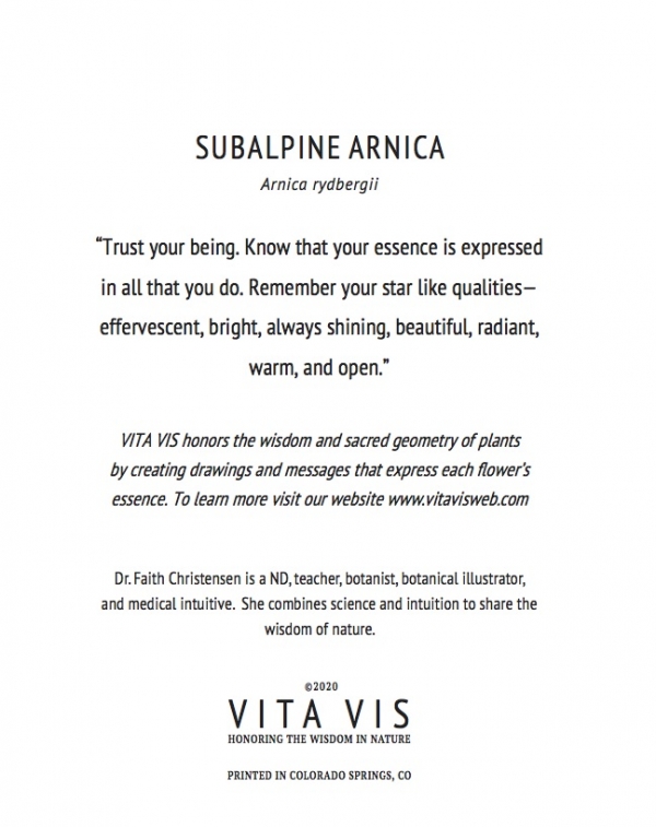 Subalpine Arnica Greeting Card - Image 2