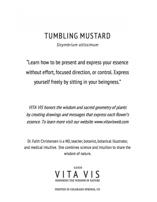 Tumbling Mustard Greeting Card - Image 2